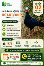 TUYỂN DỤNG 02 NHÂN VIÊN CHĂM SÓC GÀ